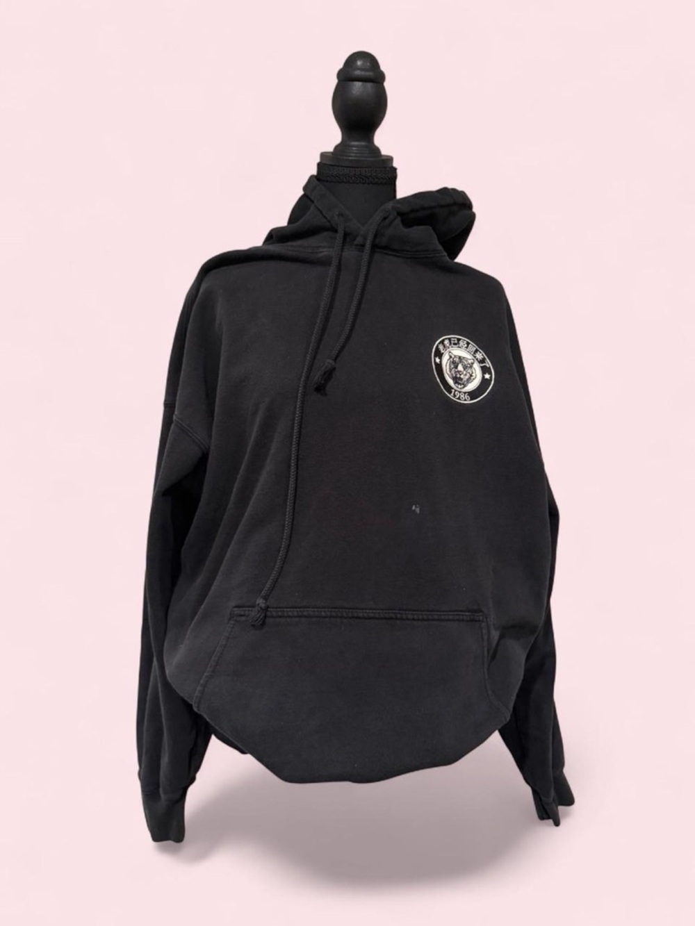 Brandy Melville Oversized Thick Hoodie